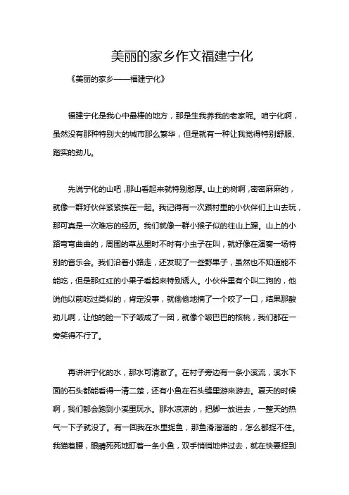 美丽的家乡作文福建宁化