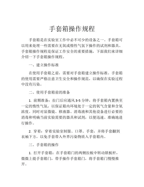 手套箱操作规程