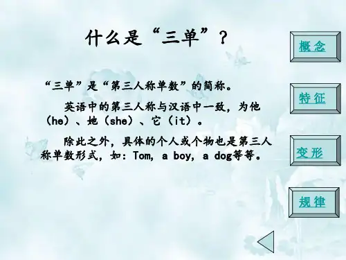 05小学英语语法：动词的第三人称单数