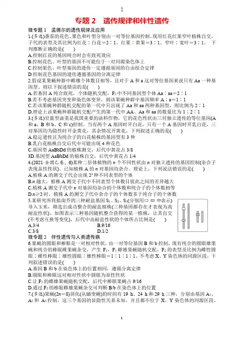 2023届高三生物二轮复习专题强化训练：专题4 遗传规律和伴性遗传