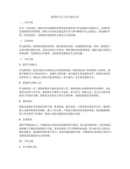 新团员个人工作计划怎么办