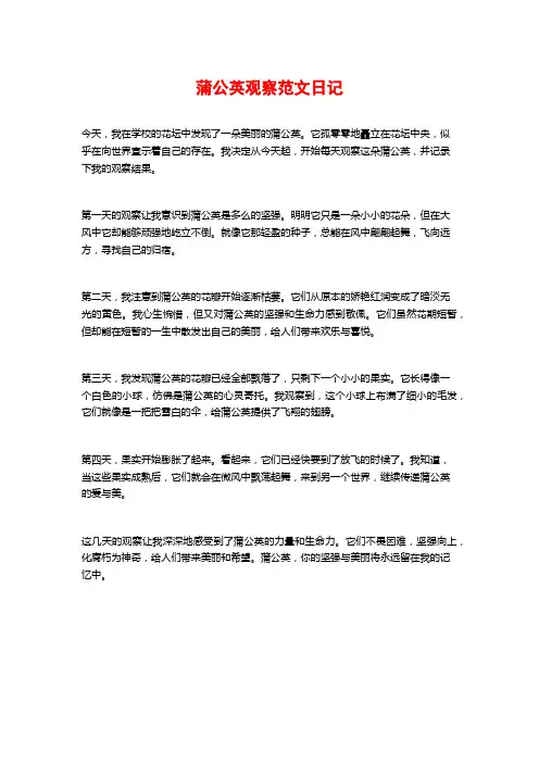 蒲公英观察范文日记