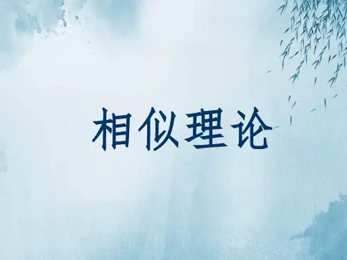相似理论ppt