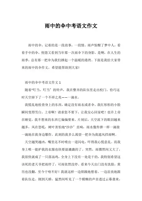 (中考作文)雨中的伞中考语文作文