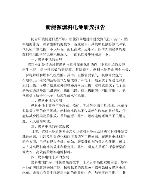 新能源燃料电池研究报告