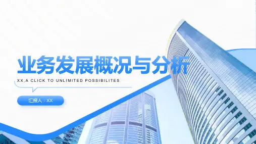 业务发展概况与分析PPT