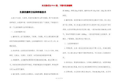 生姜的播种方法和种植技术