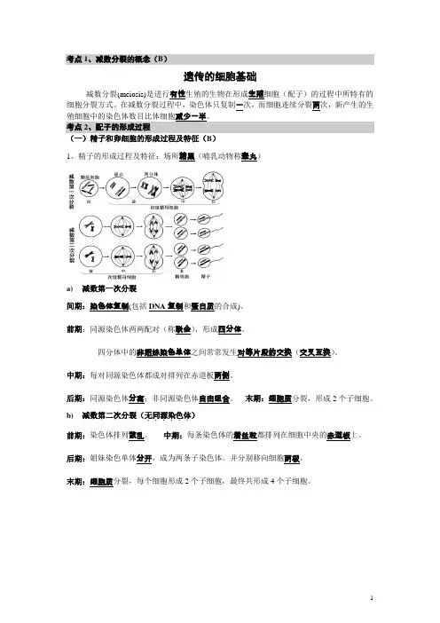 高中生物必修2《遗传与进化》复习提纲