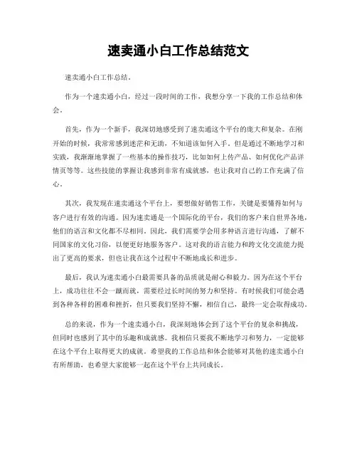 速卖通小白工作总结范文