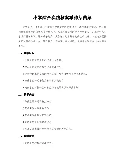 小学综合实践教案学种芽苗菜