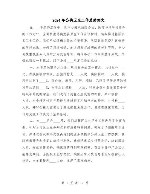 2024年公共卫生工作总结例文(六篇)