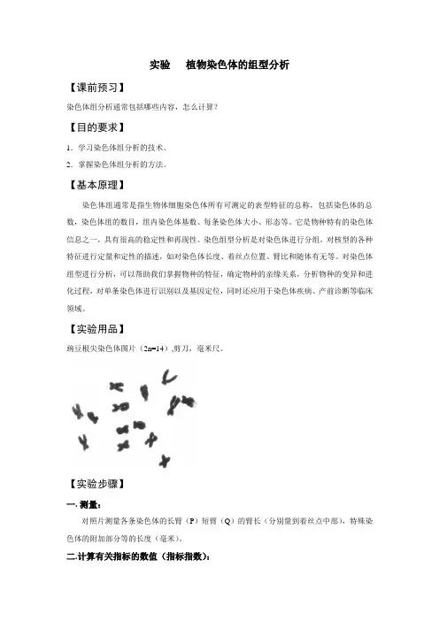 实验   植物染色体的组型分析