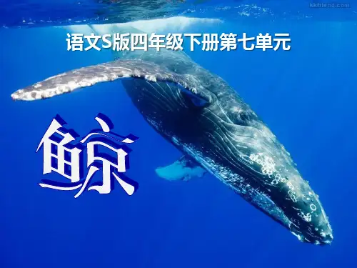 人教版《鲸》9教育课件