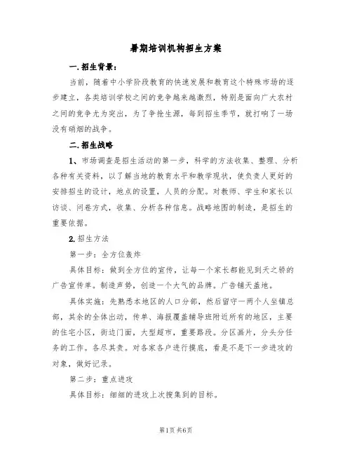 暑期培训机构招生方案(3篇)