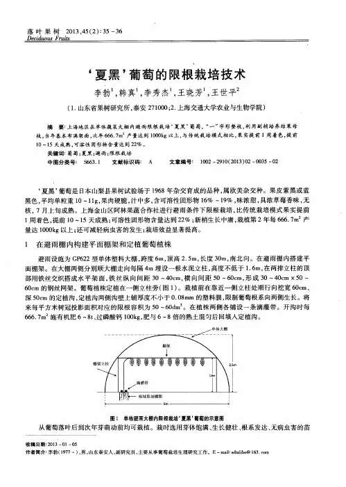 ‘夏黑’葡萄的限根栽培技术