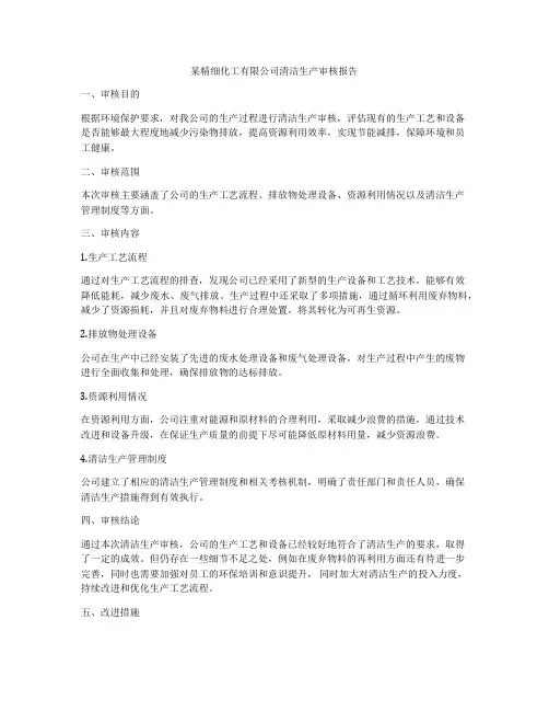 某精细化工有限公司清洁生产审核报告