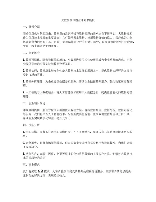 大数据技术创业计划书模板