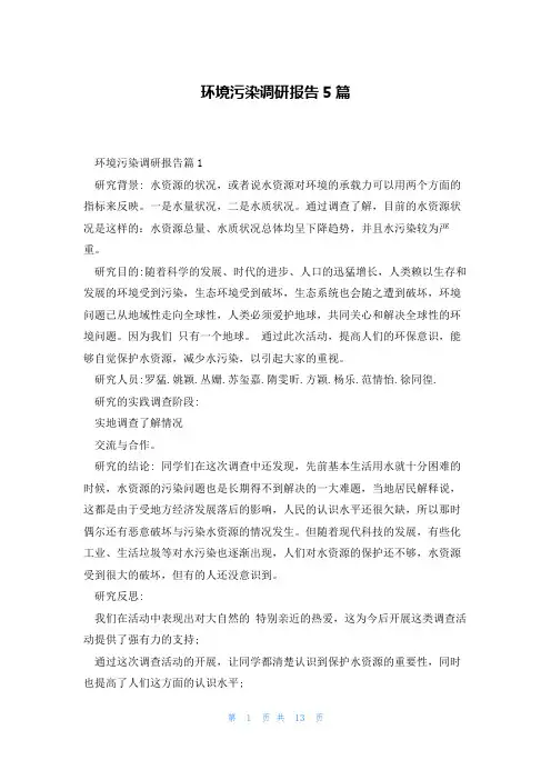 环境污染调研报告5篇