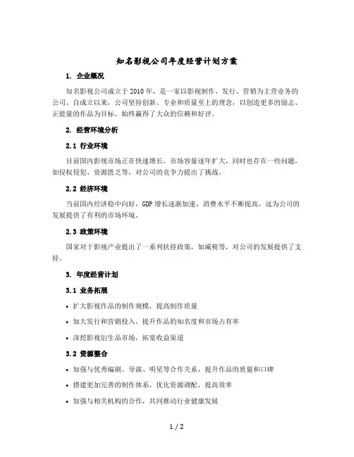 知名影视公司年度经营计划方案