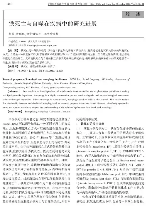 铁死亡与自噬在疾病中的研究进展
