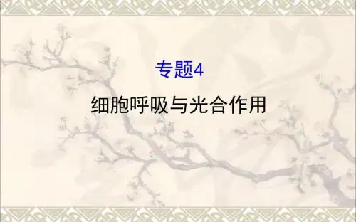 2017届高考生物二轮复习专题四细胞呼吸与光合作用课件