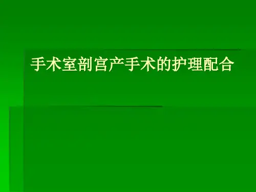 剖宫产病人护理查房ppt课件