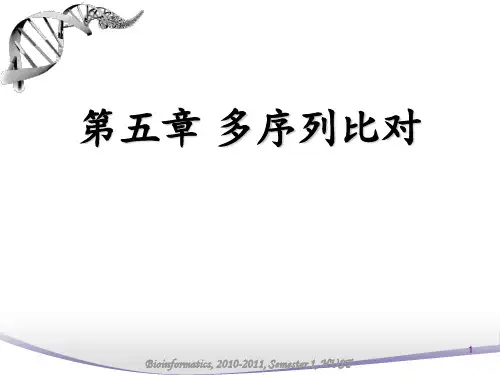 chapter-5多重序列比对PPT课件