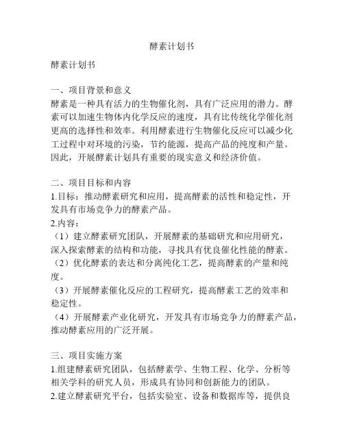 酵素计划书