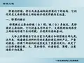 8876 桥梁10-墩台基础