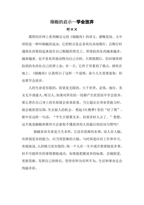 媍蝂的启示—学会放弃