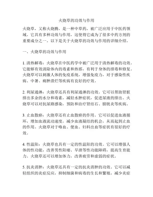 火烧草的功效与作用