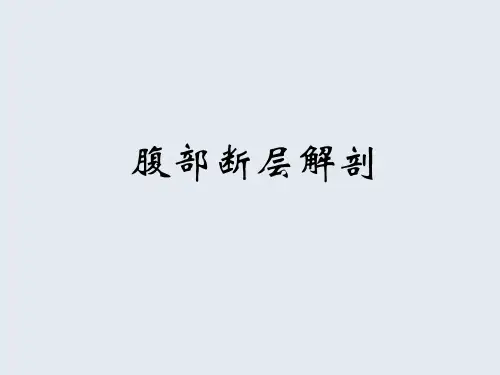腹部断层解剖课件