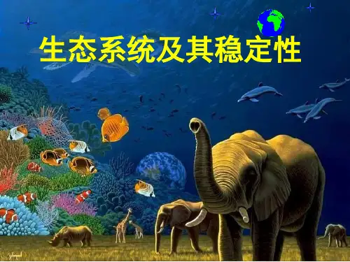 人教版高中生物必修三第五章第五节生态系统及其稳定性教学课件 (共16张PPT)