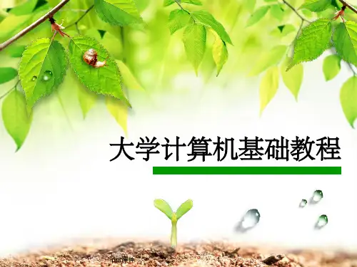 《计算机基础知识》PPT课件