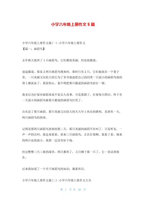 小学六年级上册作文5篇