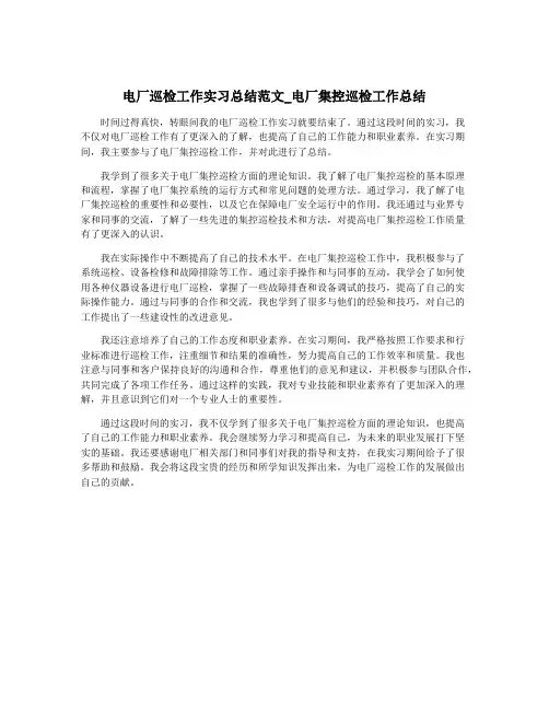 电厂巡检工作实习总结范文_电厂集控巡检工作总结