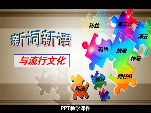 新词新语与流行文化精品课件