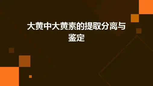 大黄中大黄素的提取分离与鉴定