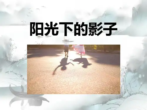 《阳光下的影子》光3精选优质 PPT