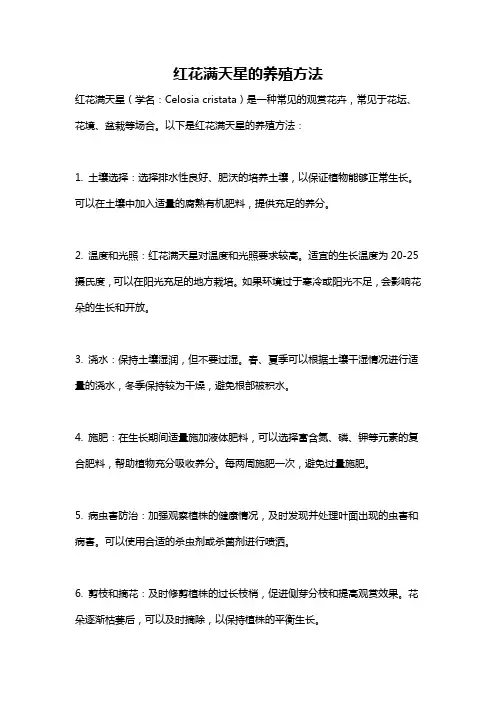 红花满天星的养殖方法