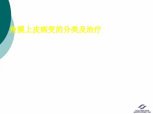 角膜上皮病变的分类及治疗