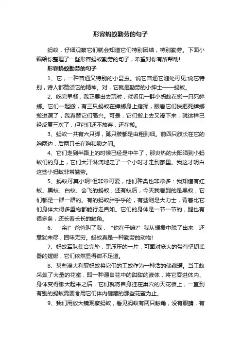 形容蚂蚁勤劳的句子