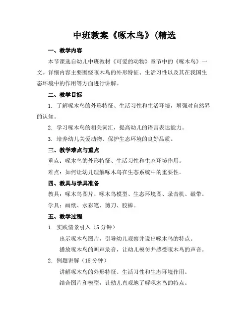 中班教案《啄木鸟》(精选