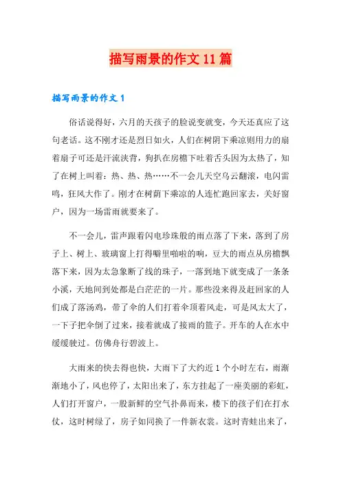 描写雨景的作文11篇