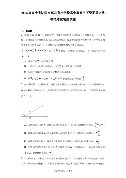 2024届辽宁省沈阳市东北育才学校高中部高三下学期第六次模拟考试物理试题