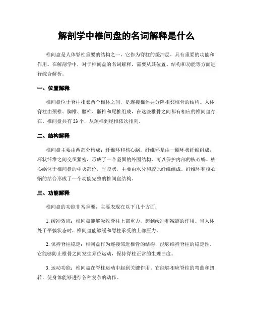 解剖学中椎间盘的名词解释是什么