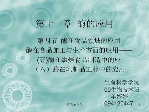 酶在烘焙及乳制品的应用