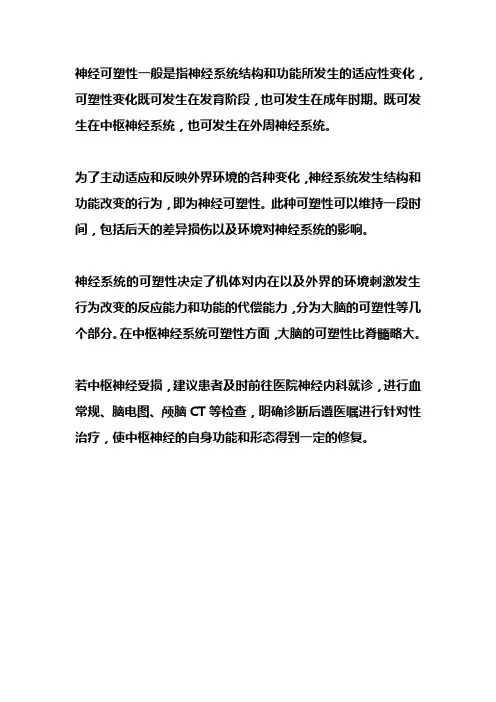 神经可塑 通俗解释