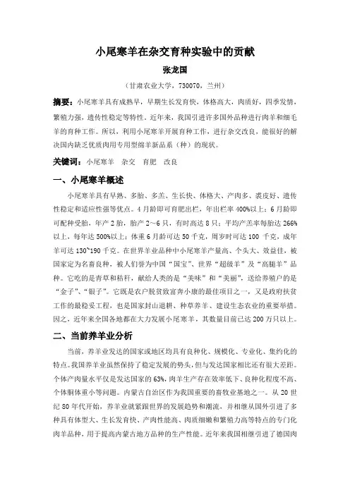 小尾寒羊在杂交育种实验中的贡献