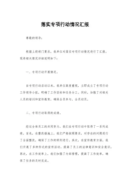 落实专项行动情况汇报